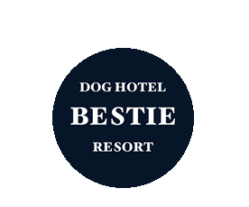 BESTIE