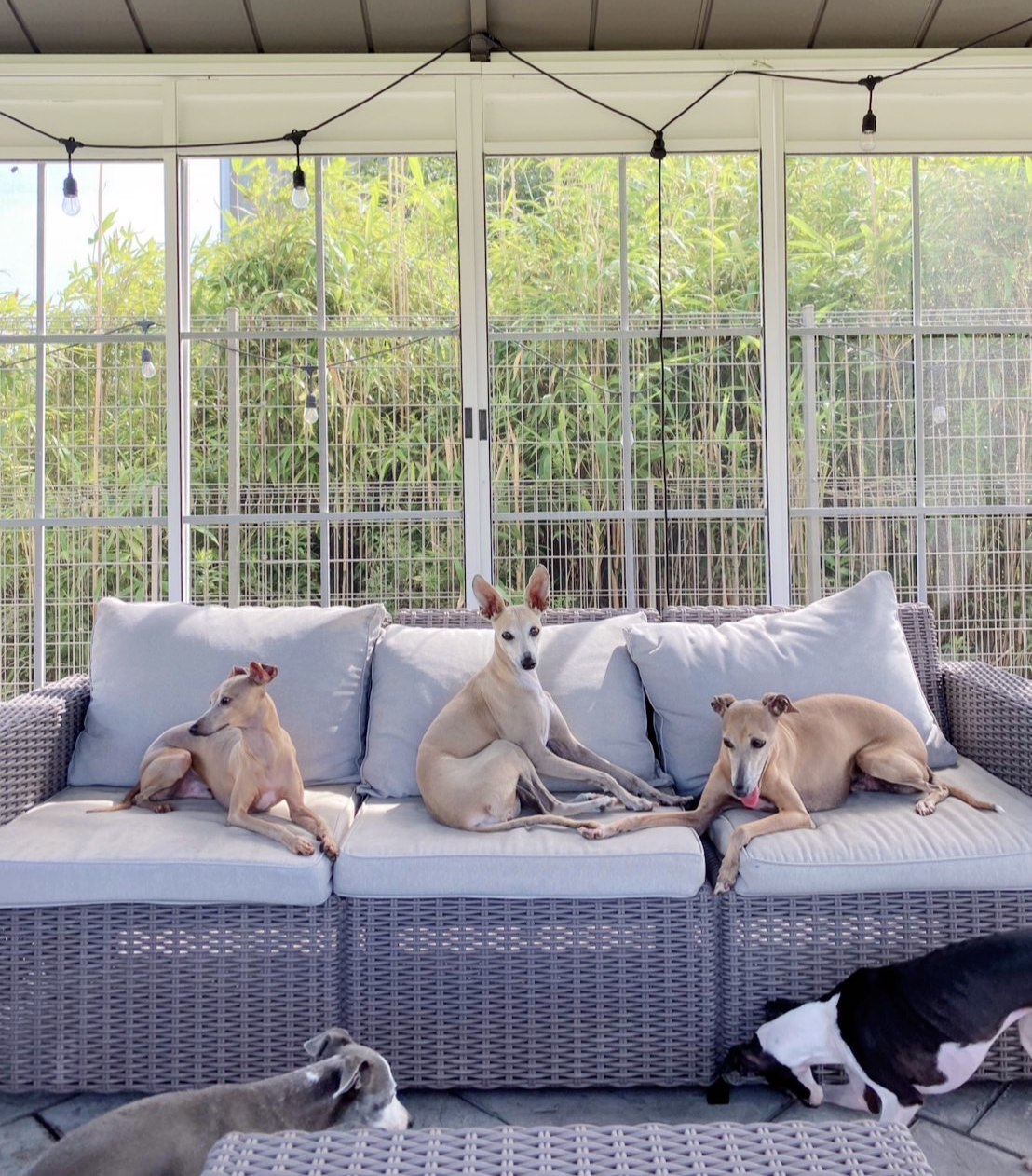 スライドショー3