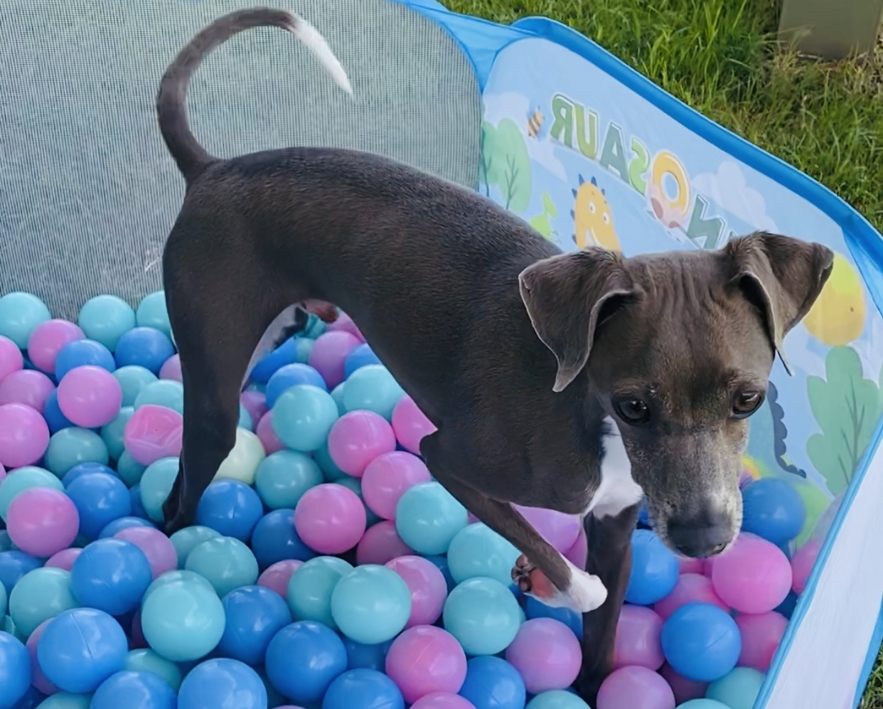 スライドショー4