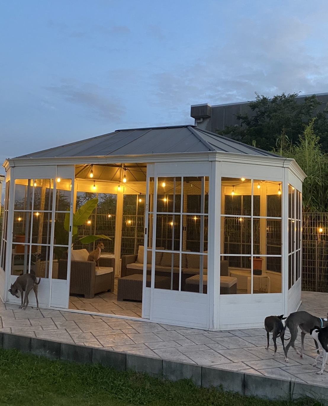 スライドショー5